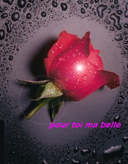 segolene